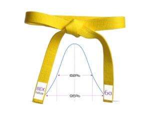 Lean Six Sigma Yellow Belt Training