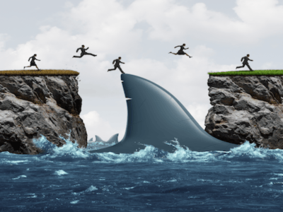Introduction to Risk